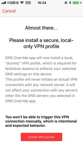 DNS-override-setting5